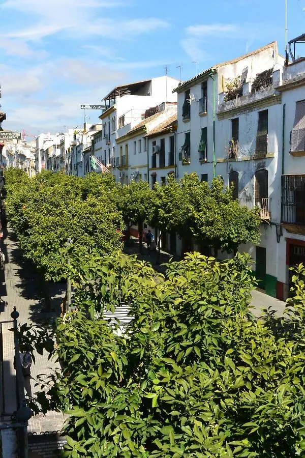 Casa Del Portillo-Centro Historico Cordoba 0*,
